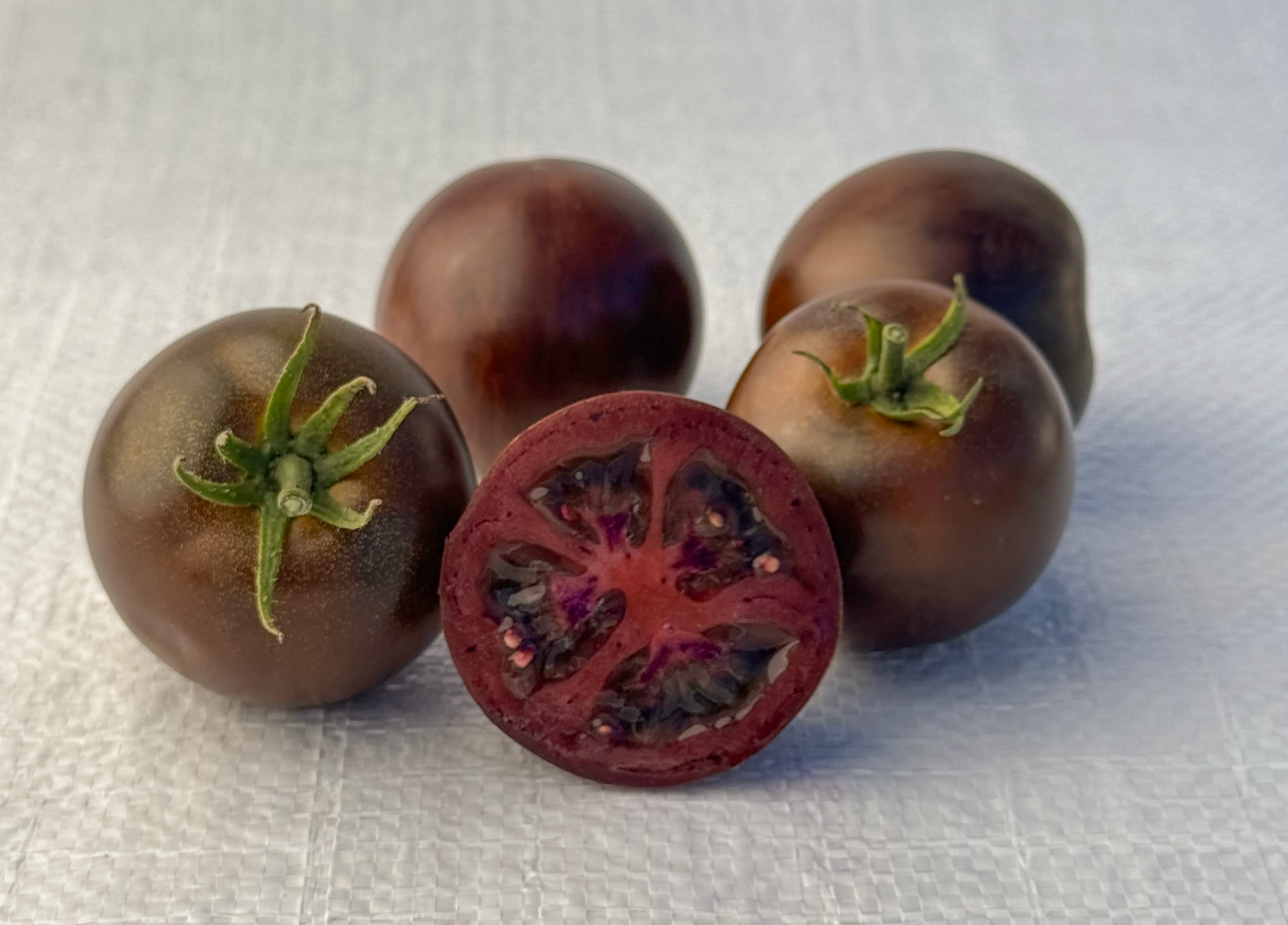 Dark Hollow anthocyanin rich purple tomato