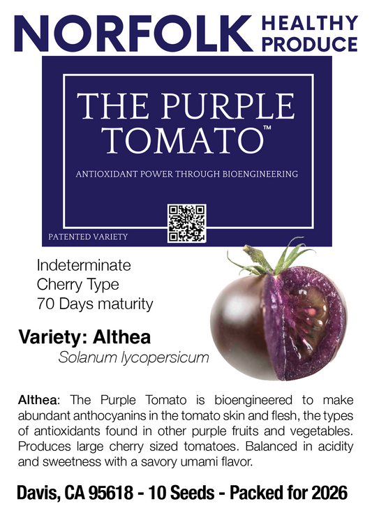 Norfolk Healthy Produce The Purple Tomato Althea Seed Packet